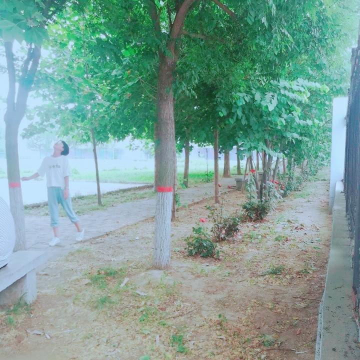 温馨的港湾