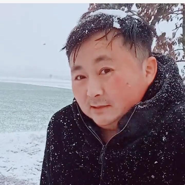 条哥
