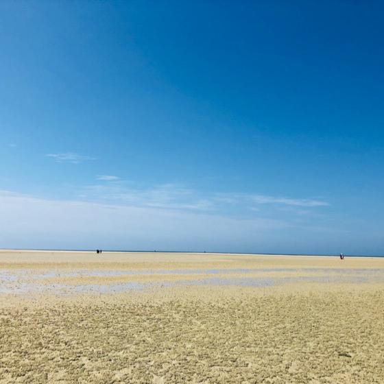 游遍北海🐳