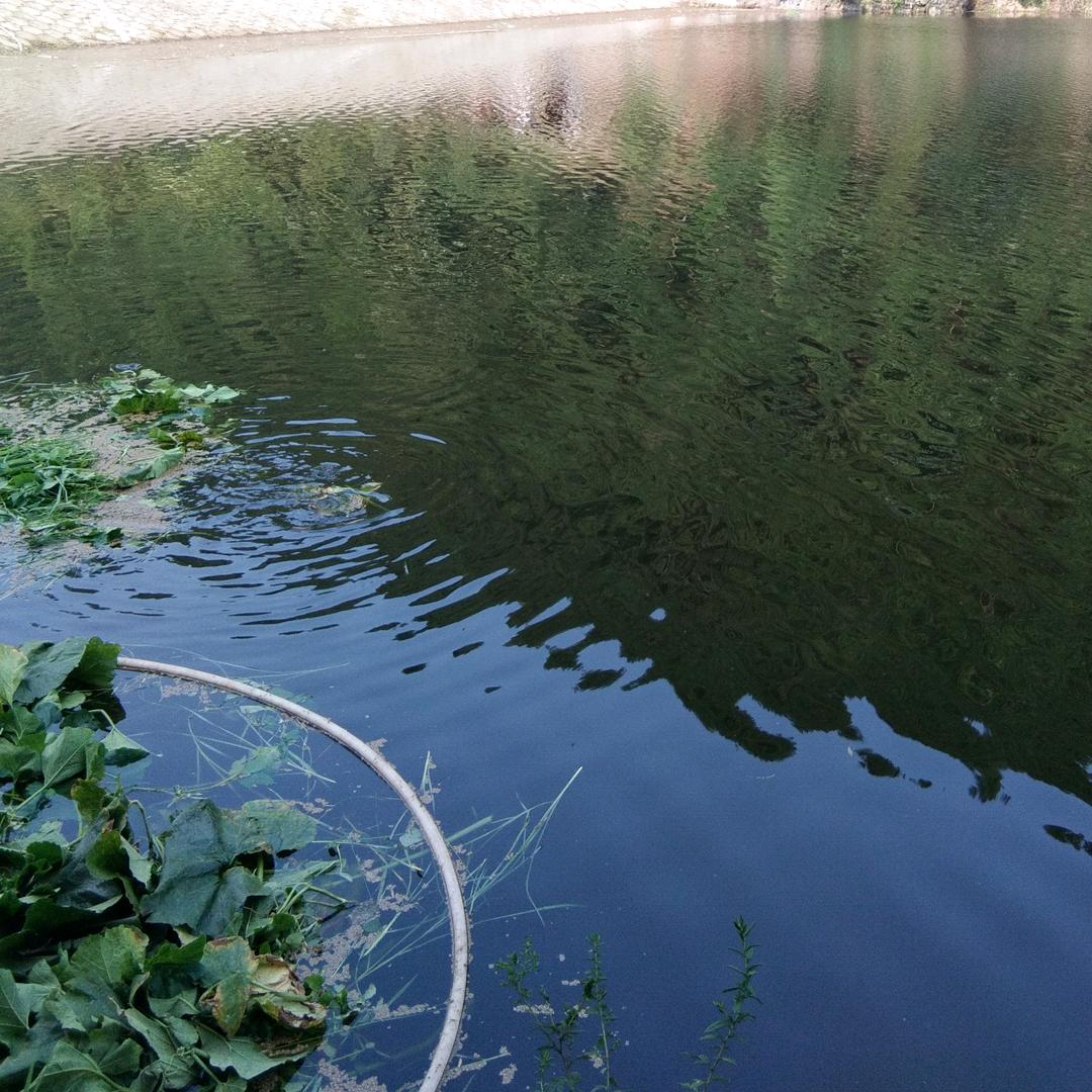 石笋水库休闲钓段大姐