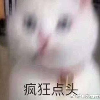 菜菜虎11