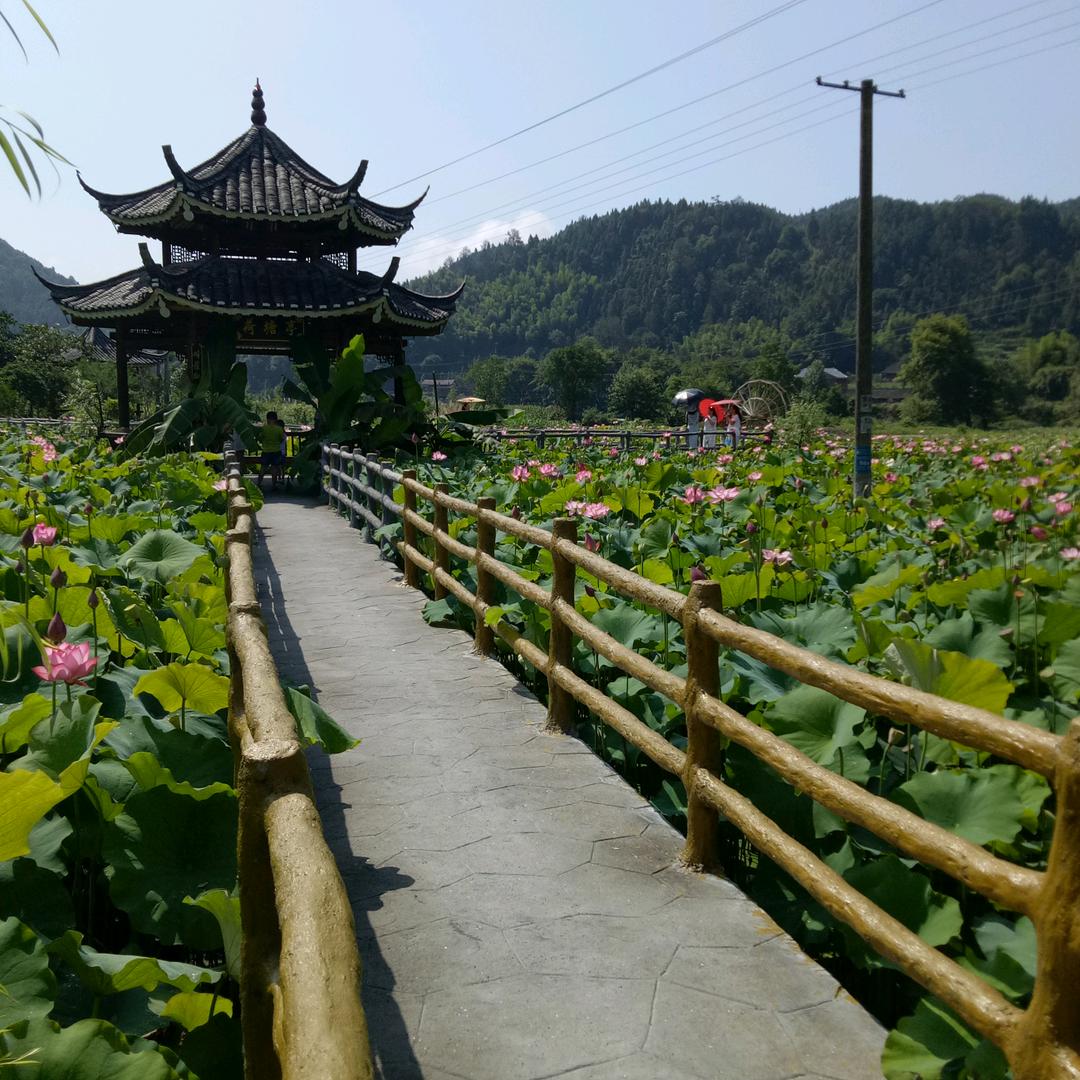 公交开心哥