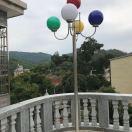 髪髪（专业砍树🌲）