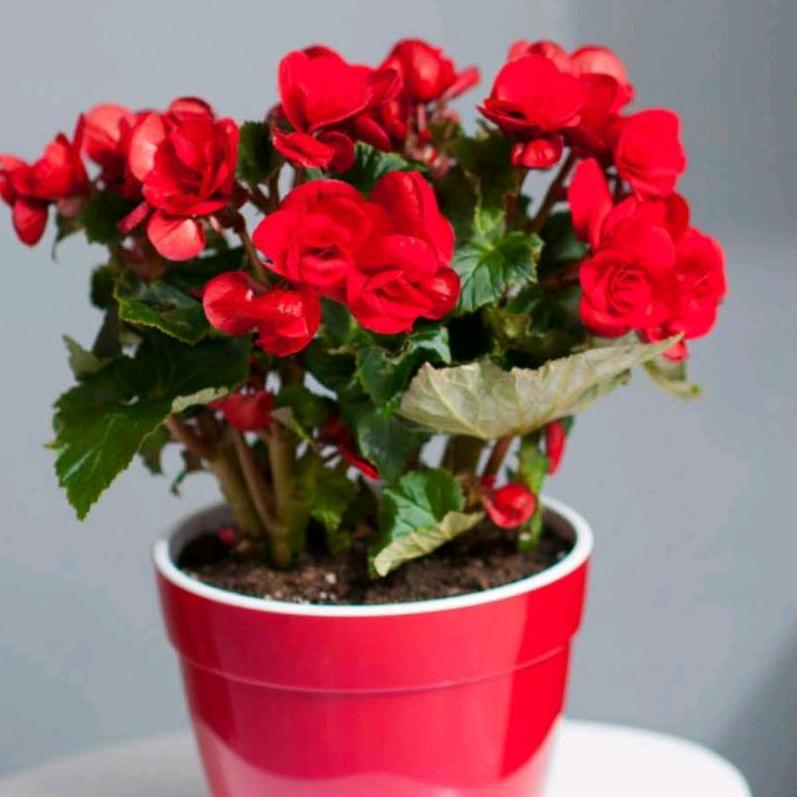 我的悲伤谁能懂