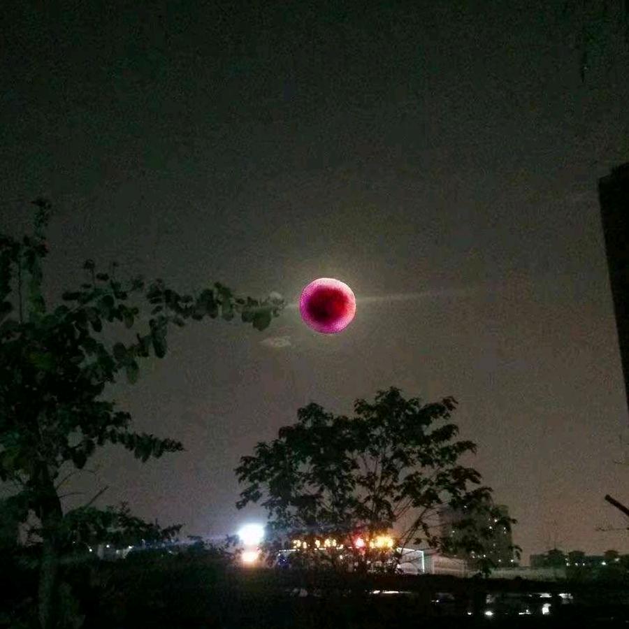 怪咖