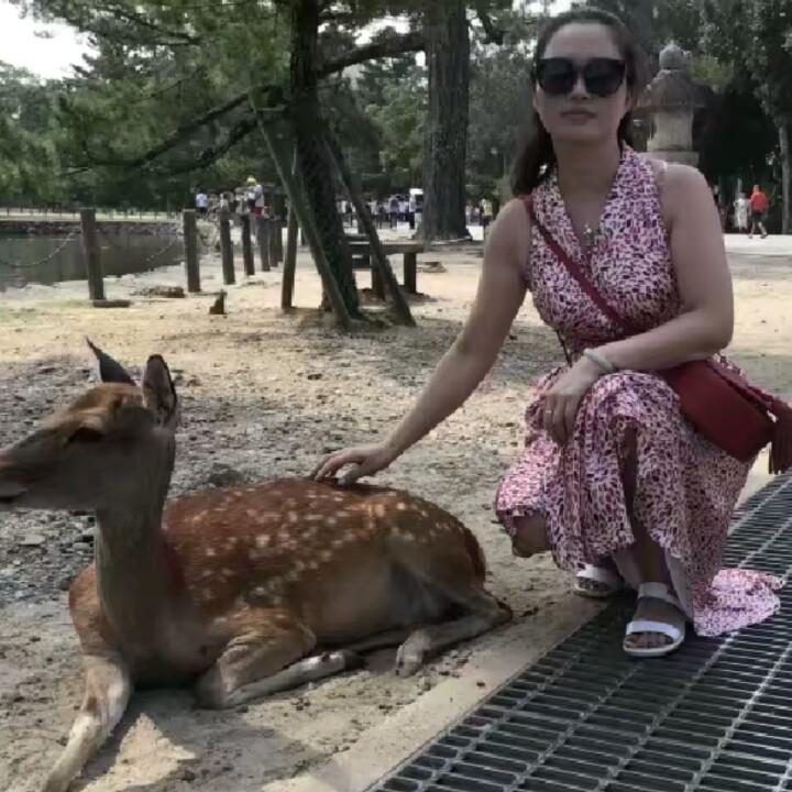 黑玫瑰❤️猫贝贝