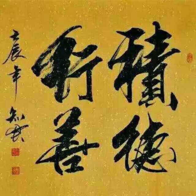宠道