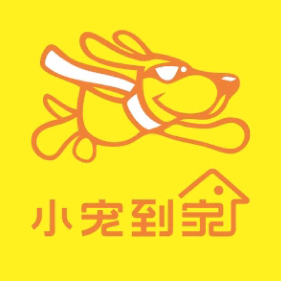 上海小宠到家宠物会所