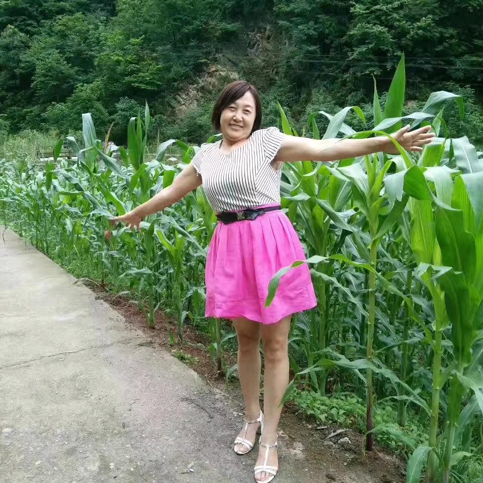 凤舞九天