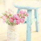 love一fan: