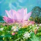 ;平安 一生 