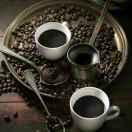 雪中的梅花(不定时直