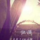 毛子哥GM