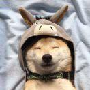 九根藤装饰-康先生