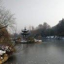 李震