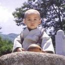 韩青正念禅修
