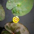 九江盛唐老酒鉴藏征集