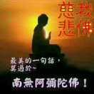 滕州恒仁胡娜接货玉成粮食收购