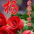 平淡才是真