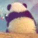 走走走