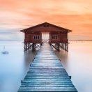 义乌御园mini小矮马