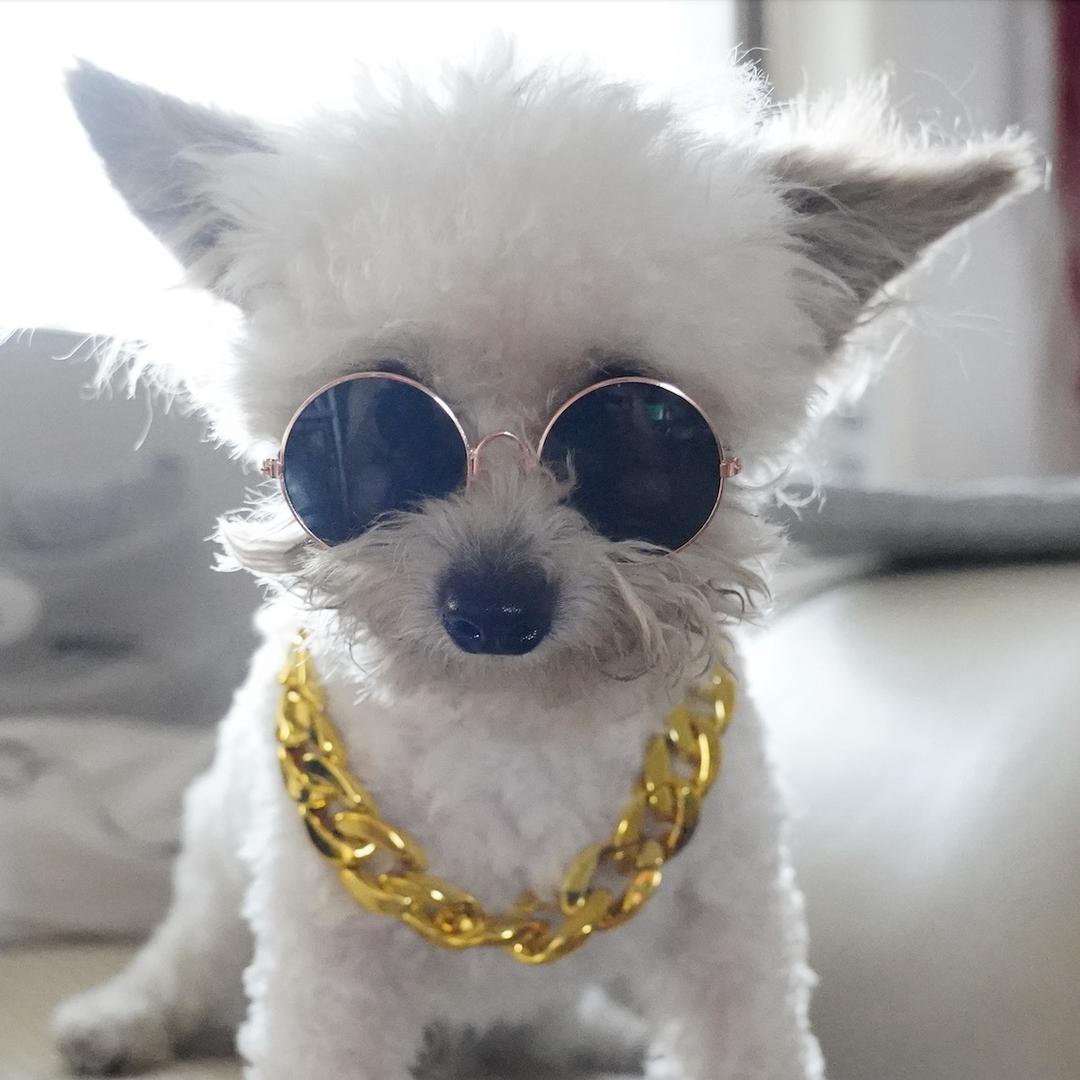 灰太狼