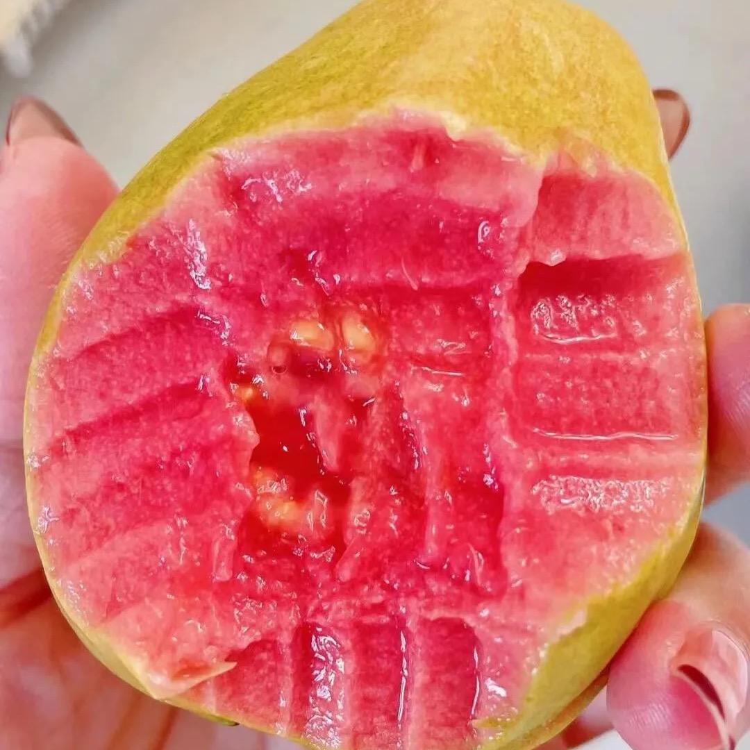 广西冰淇淋奶油芭乐