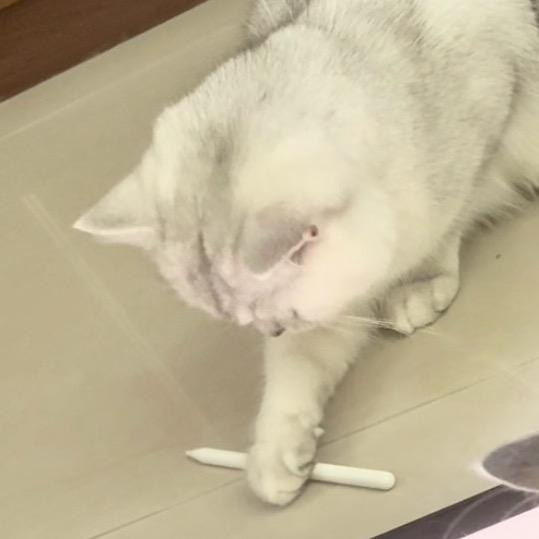 烤烤鱼鱼
