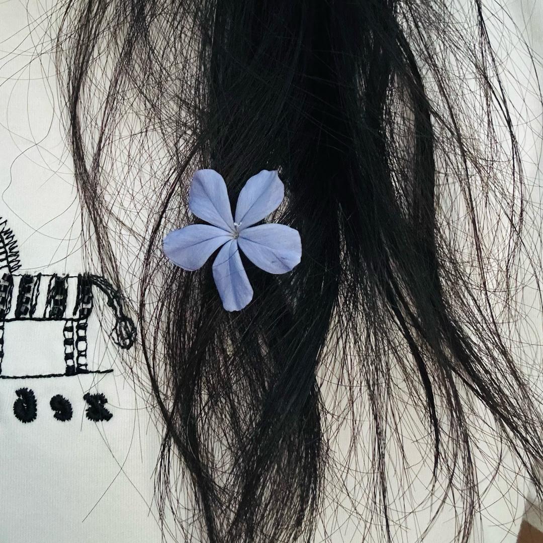 西梅子酱