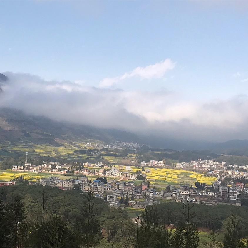 南方小土豆（广西）