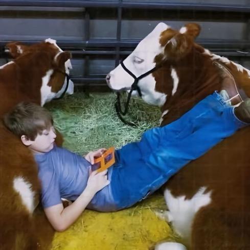 把故事写成我们