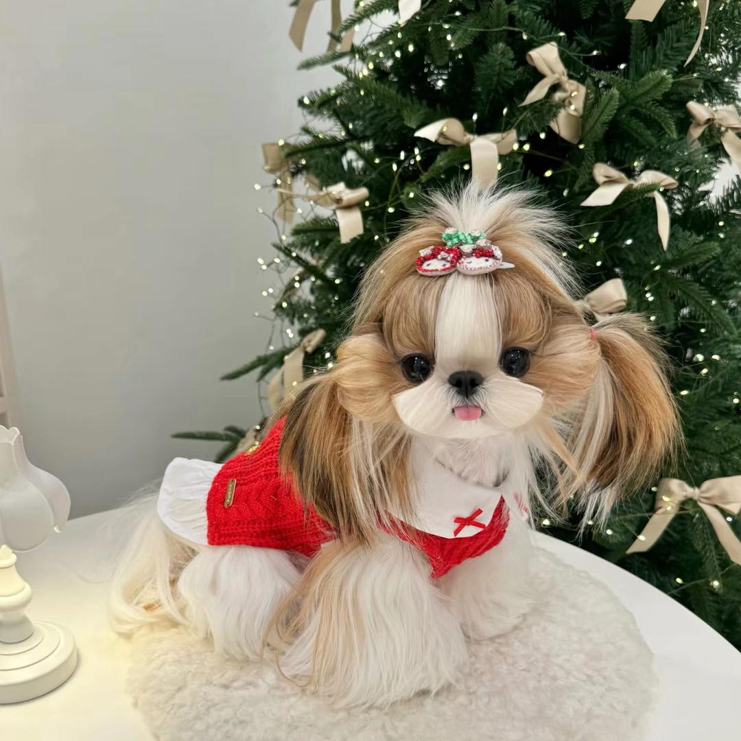 沈阳小龙萌宠基地