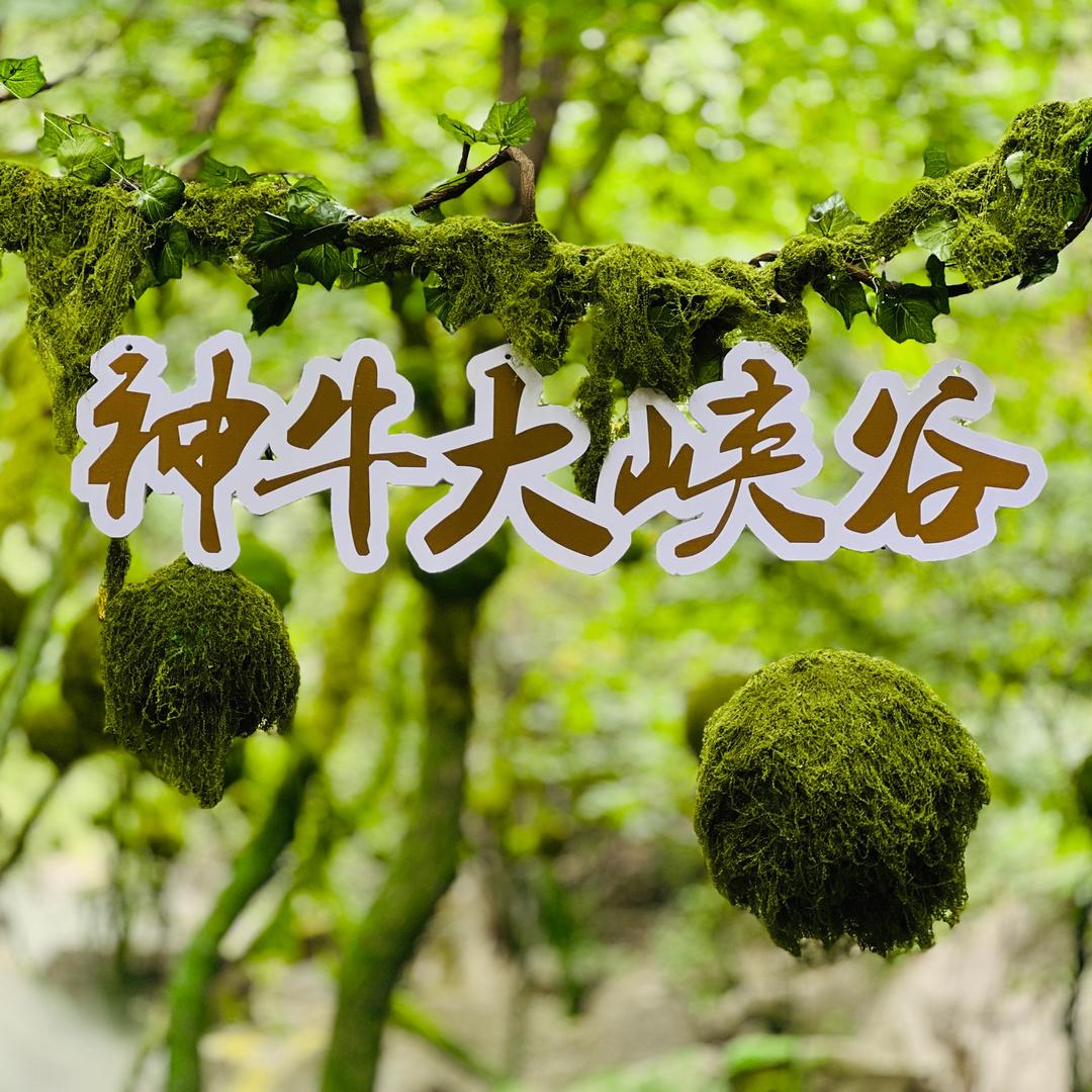 寻梦小镇