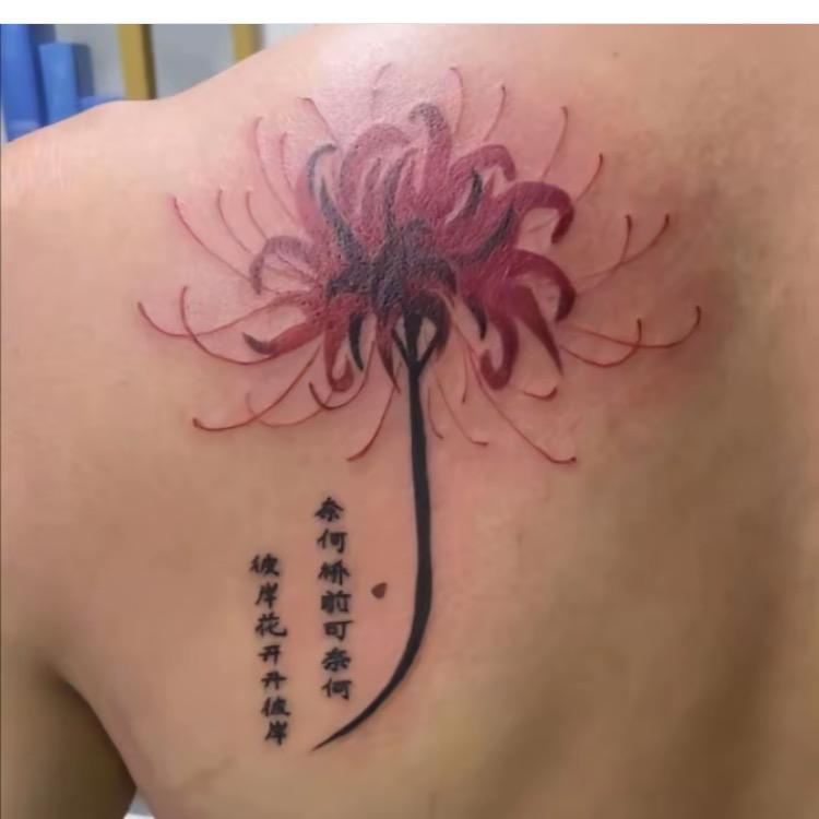 -风停在那年