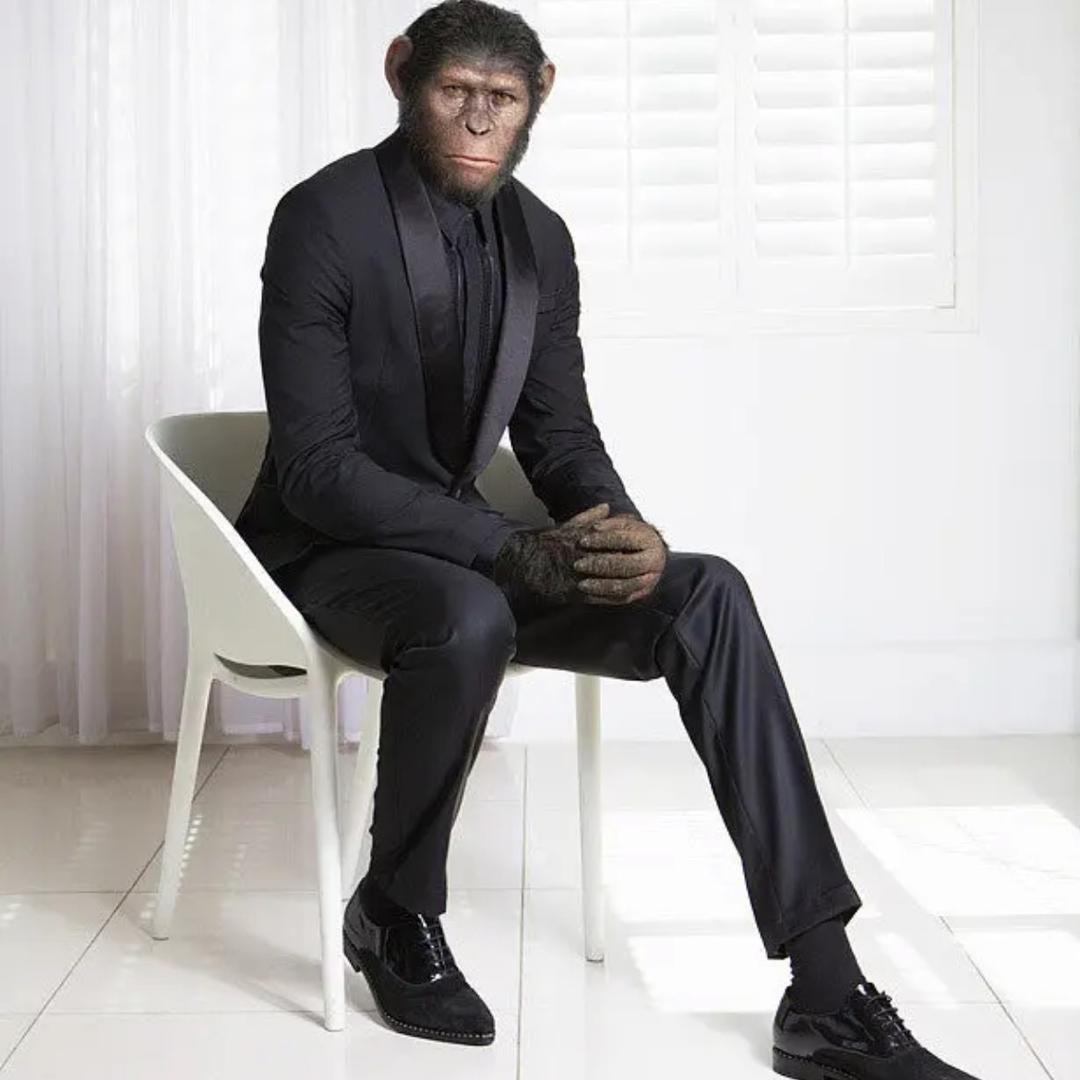 全国酒店融资管理