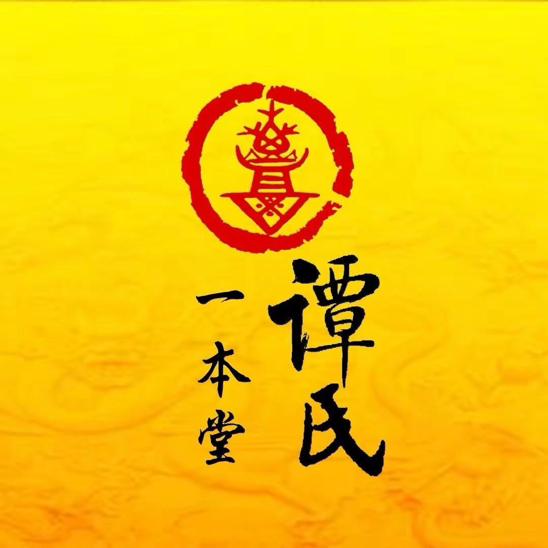 谭军-谭氏家族大团结（服饰）