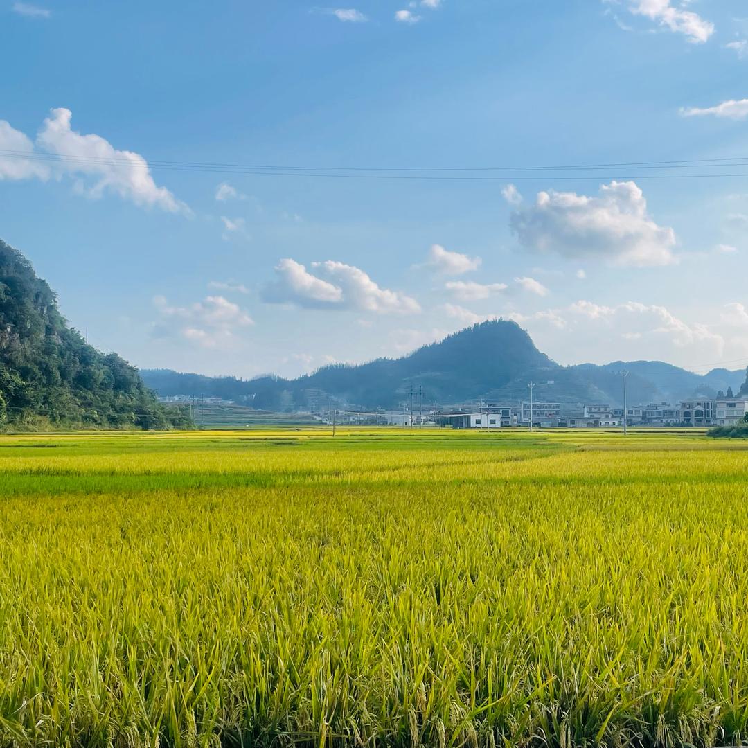 我见青山多妩媚
