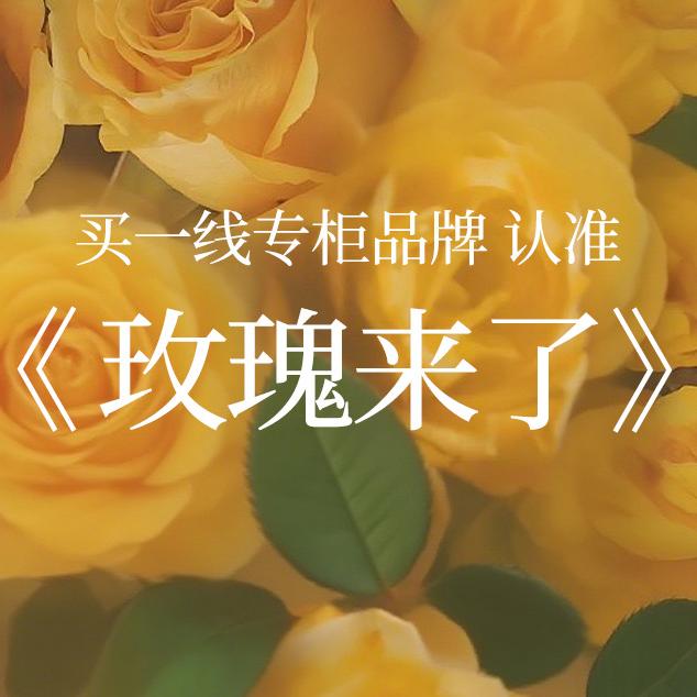 玫瑰来了