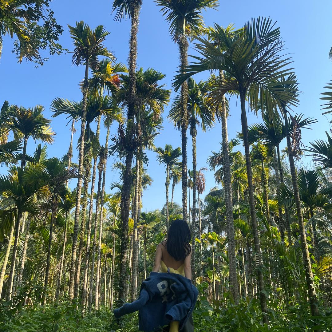 陪伴我的那只猫