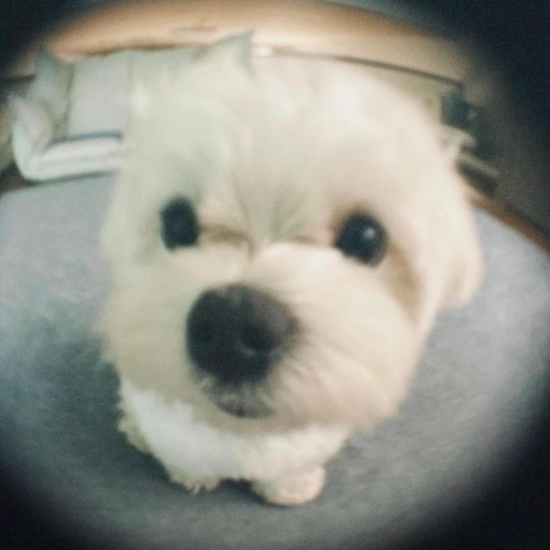 Jun