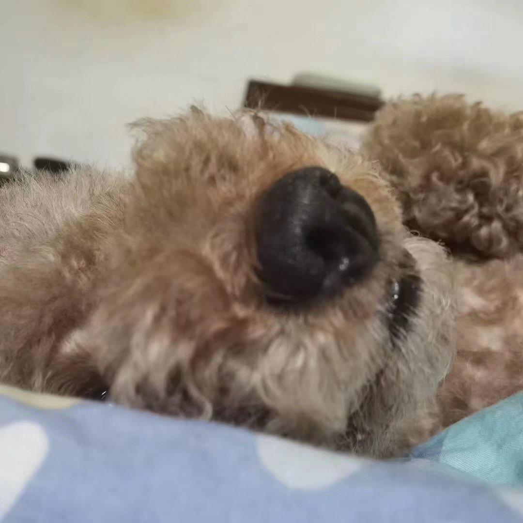 粒粒一些