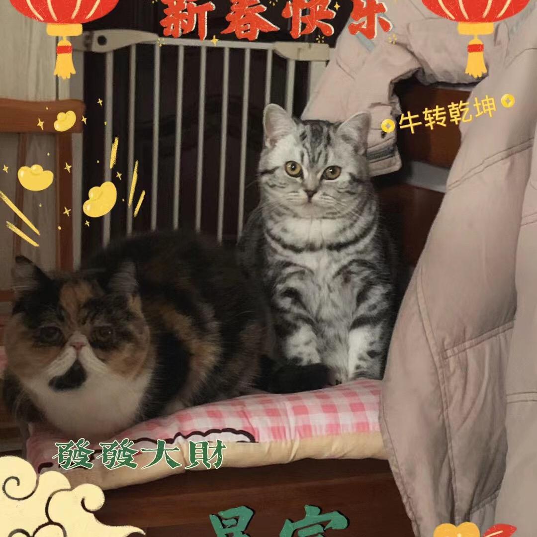开心每一天
