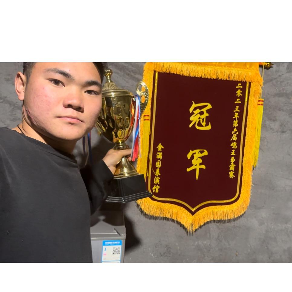 海飞北海商贸斗鸡