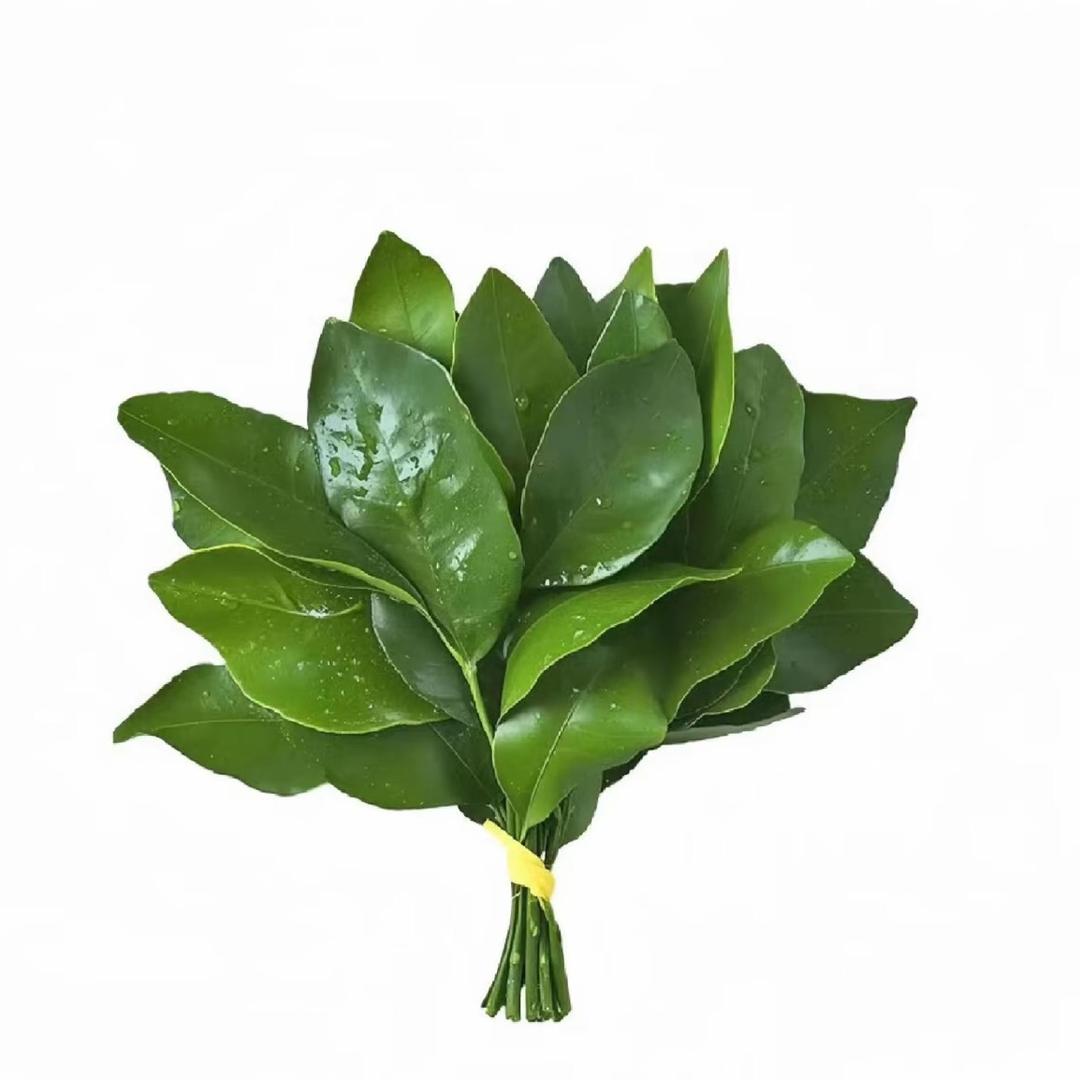 .橘子皮
