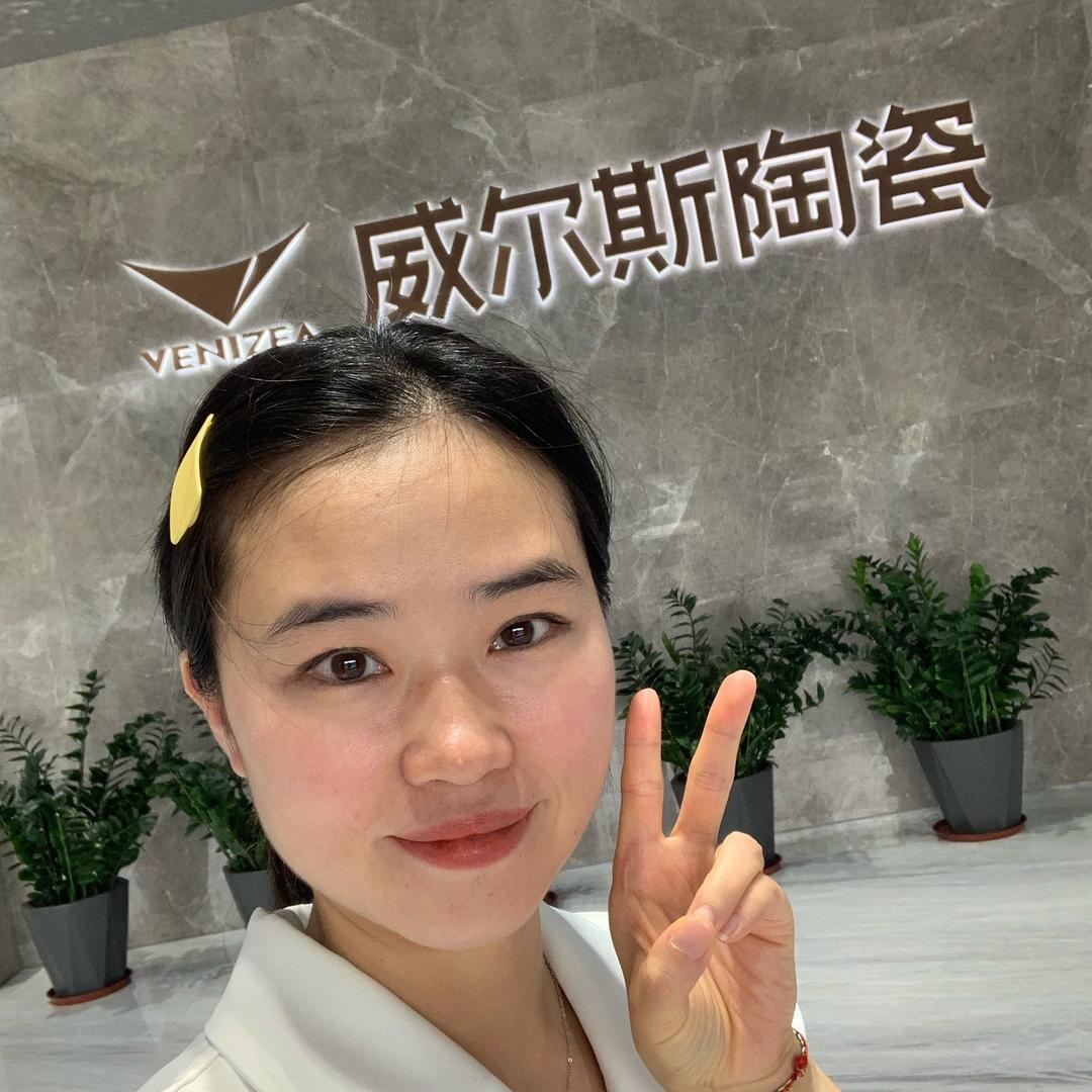 威尔斯陶瓷·北二环大明宫店
