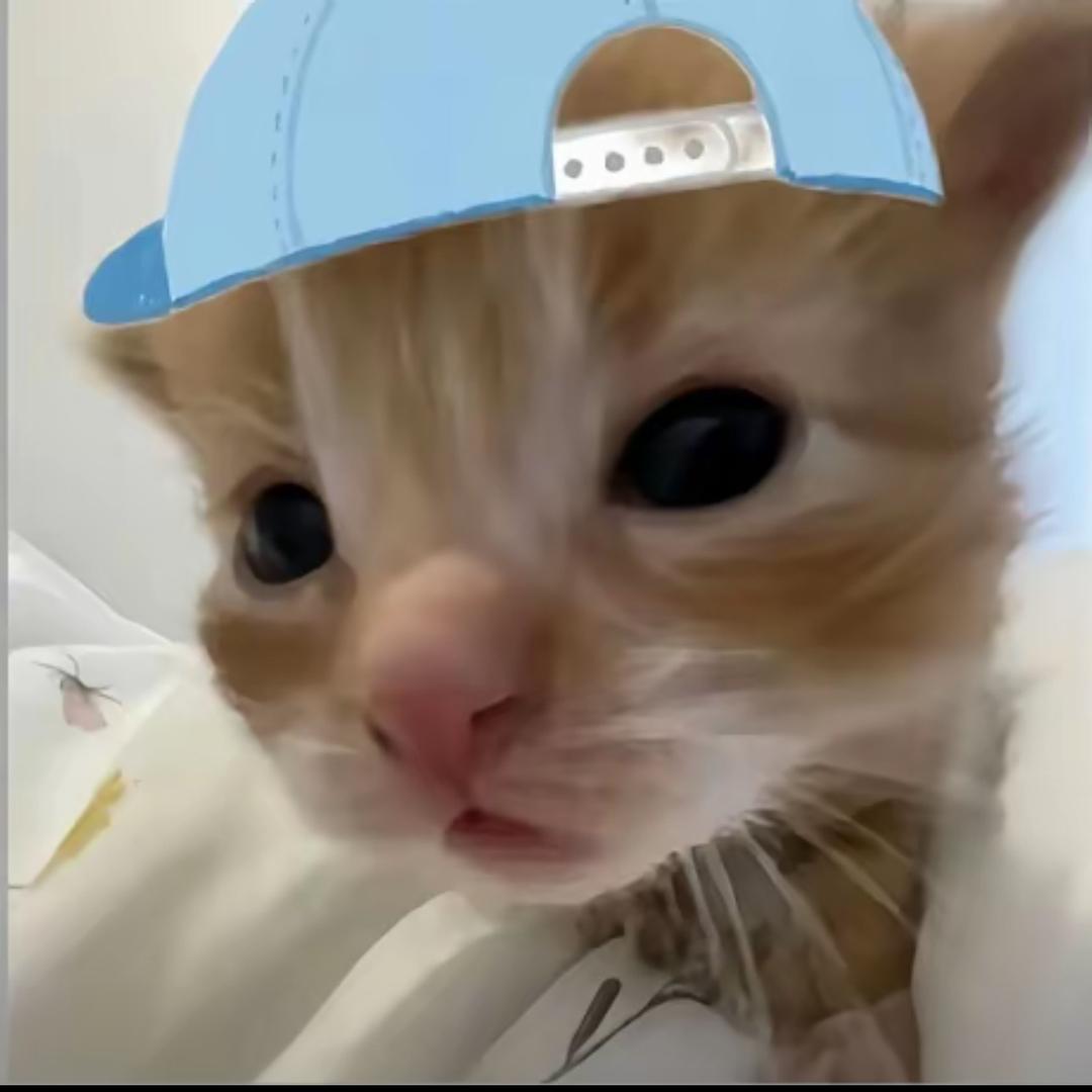外