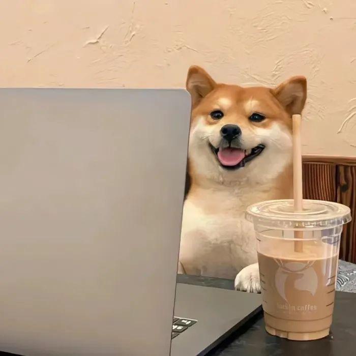 黑猫警长