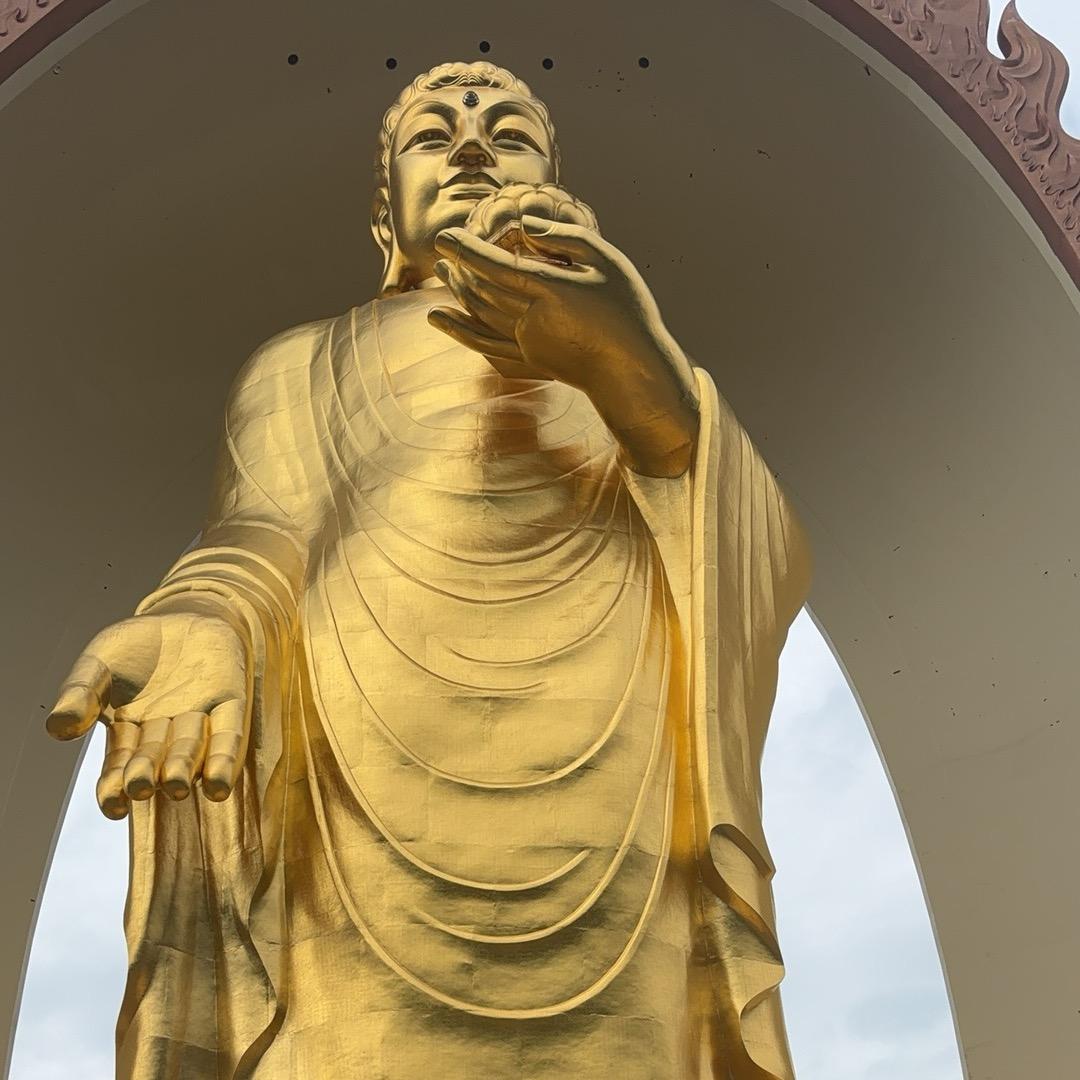 余生有你才安好