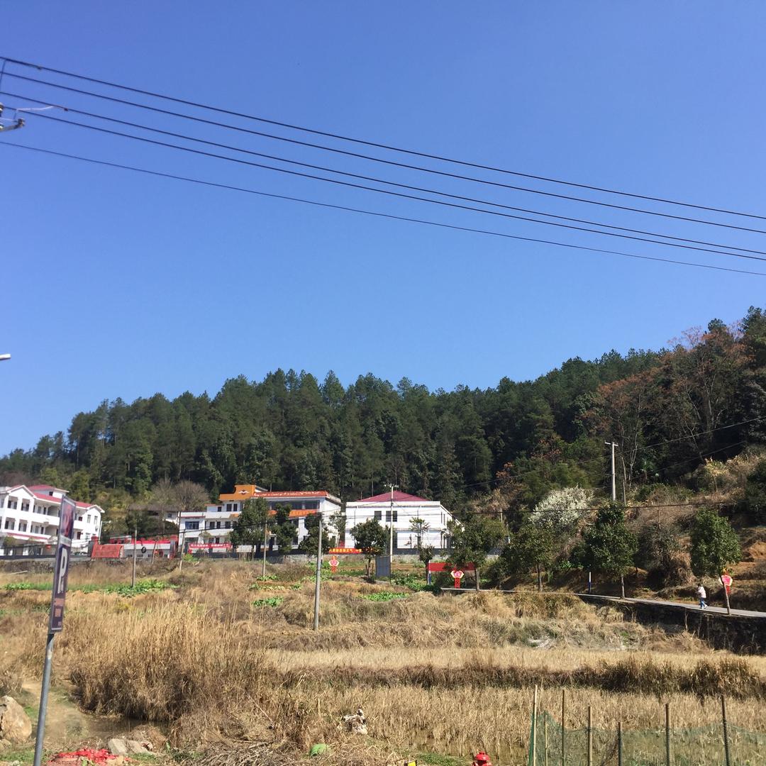 大红花
