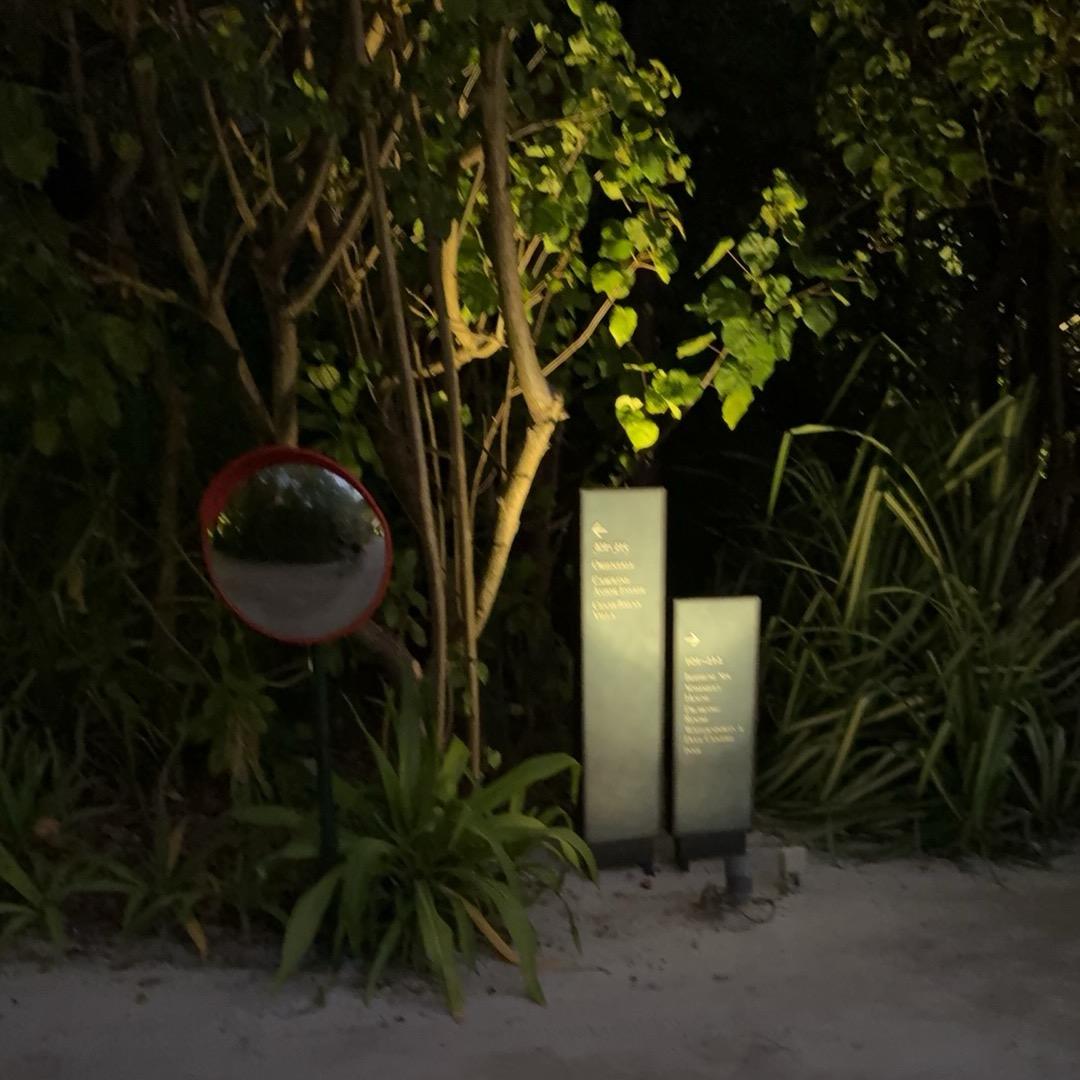 小姨玩具小小号